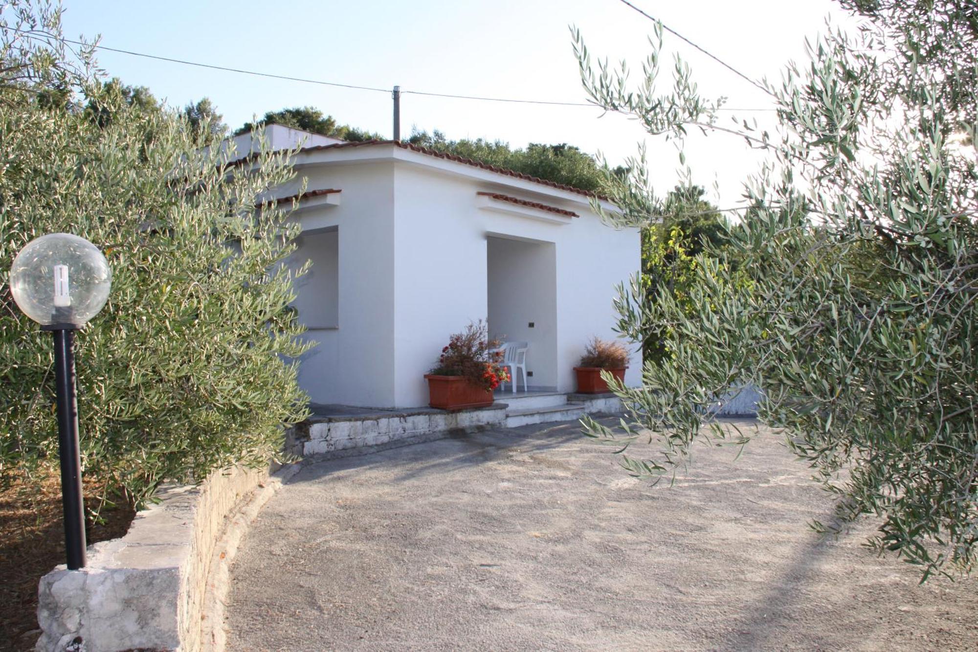 Residence Gli Stingi Vieste Exteriör bild